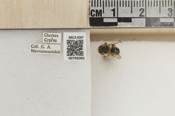 Media type: image;   Entomology 795005 Aspect: Labels